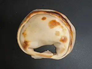 Pollo