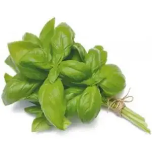 Albahaca Atado