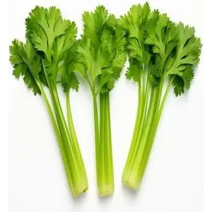 Apio Atado de 200g