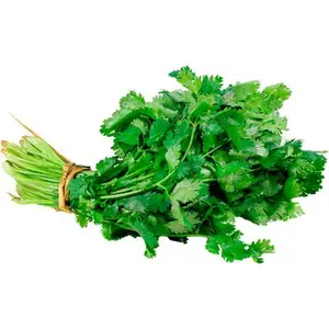 Cilantro Paquete 1 Unidades