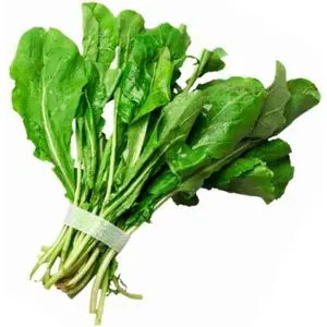 Rucula Horti Fresh 1 Paquete