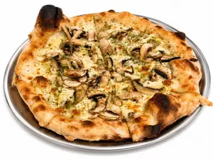 Funghi porcini
