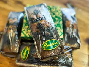 Budin marmolado