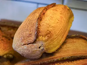 Pan de campo clásico