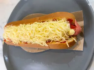 Perro con queso
