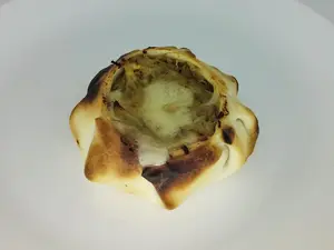 FUNGI PATAGÓNICA