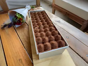 Porción de tiramisú