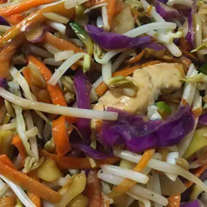 22- Chop Suey de pollo