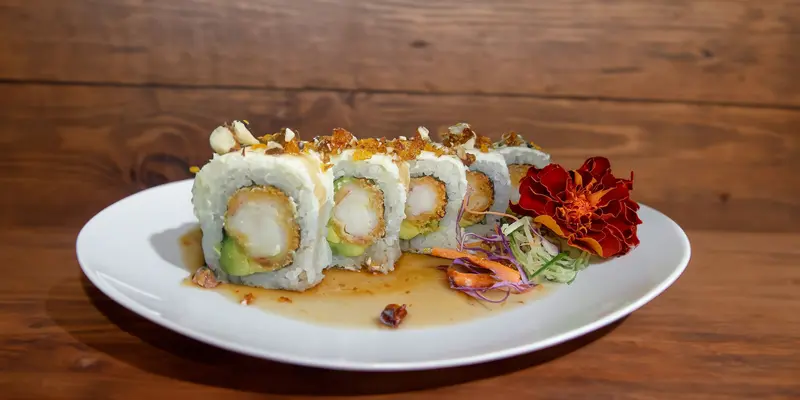 Sushikat