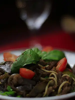 Chow mix de carne