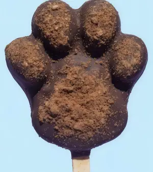 Paleta Garra Chocotorta