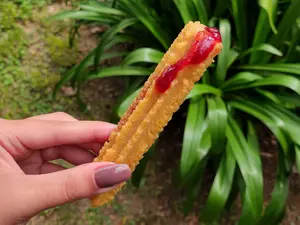 Churro relleno frutos rojos