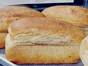 Molde blanco 100% masa madre
