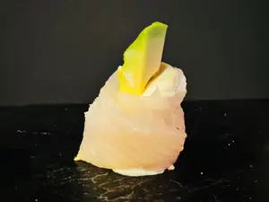 Geisha De Pesca Blanca