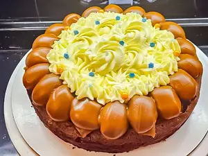 Torta brownie 24cm.