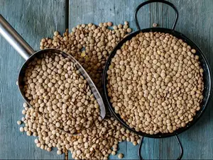 Lenteja 1 kilo