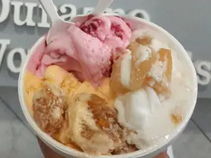 Helado 1/4 kg